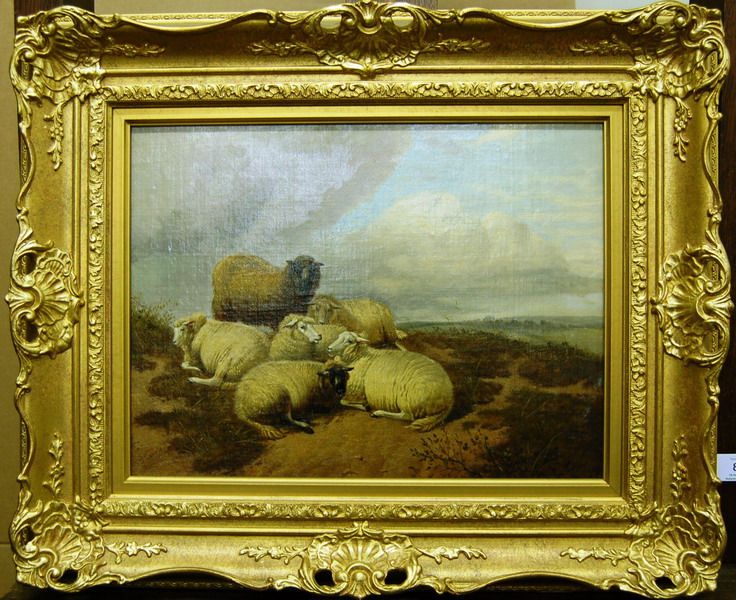 sheep-on-a-sandy-bank-an-extensive-landscape-beyond