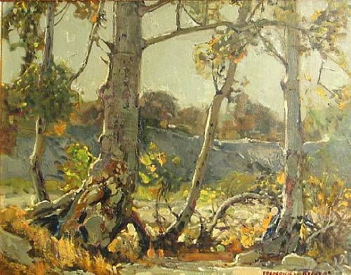 sunlit-sycamores