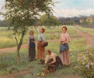 the-apple-harvest