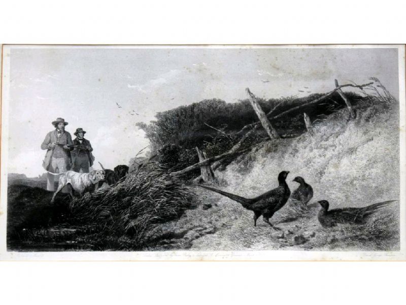 grouse-and-pheasant