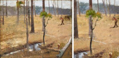 dessous-de-bois-en-floride