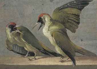 two-green-woodpeckers-picus-viridis