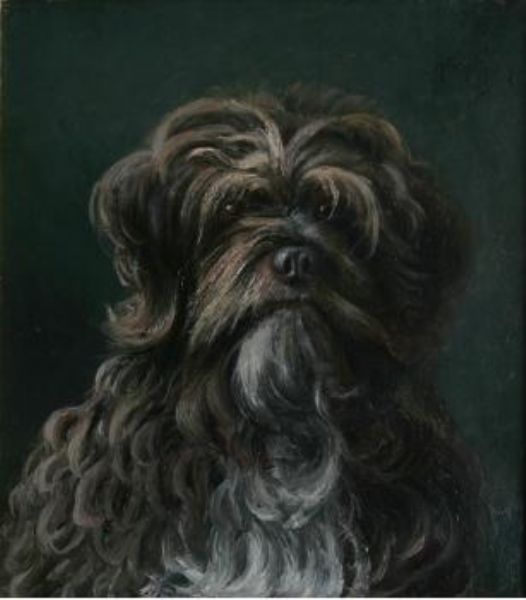hundportratt