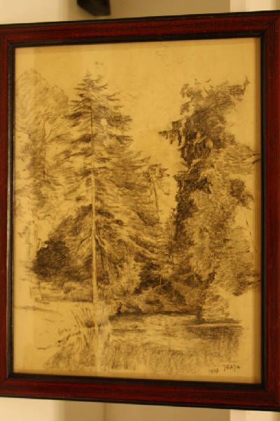 bomen-aan-de-waterkant-en-in-dorso-schets-leidschendam-studie