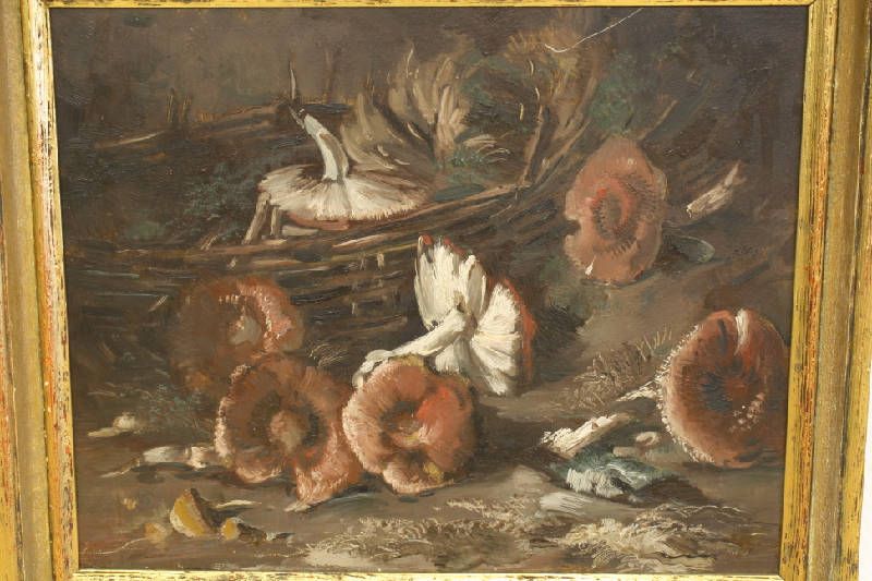 paddestoelen-de-stamoudste-beide-get
