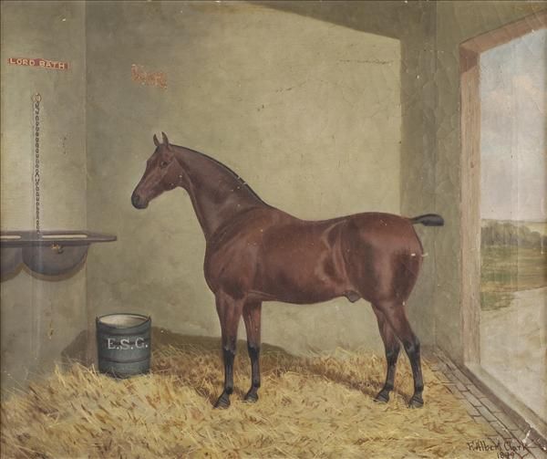 lord-bath-a-bay-horse-in-a-stable-interior
