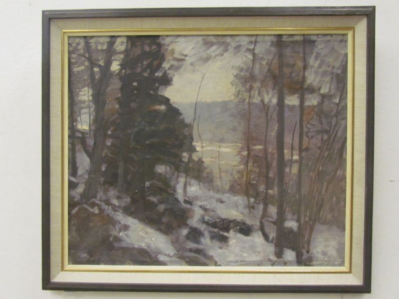 vinterlandskap