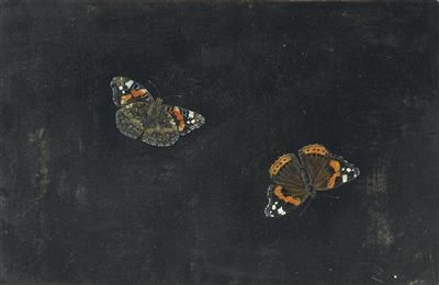 two-butterflies