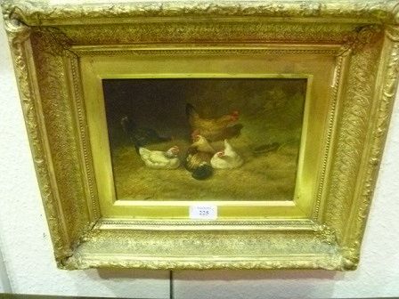 cockerels-and-chickens-in-the-hay