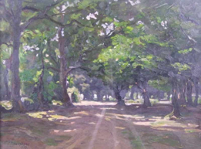 new-forest