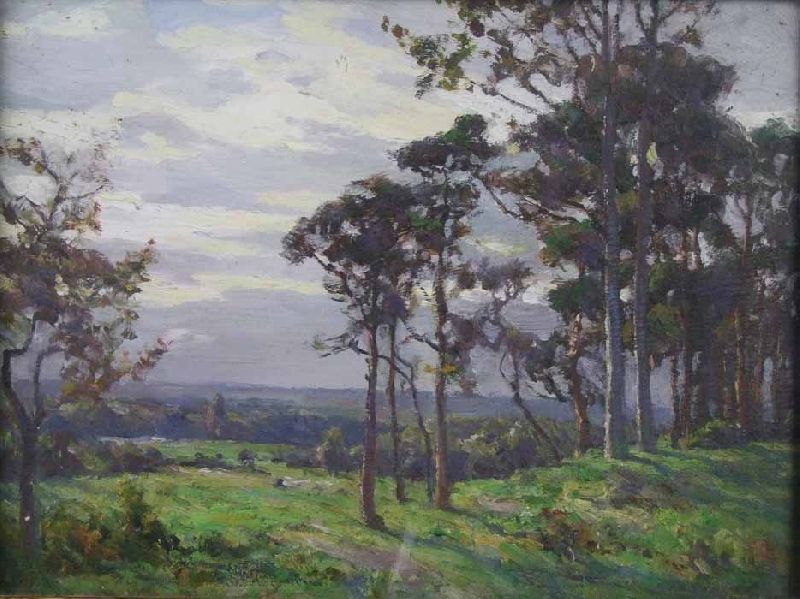 new-forest-scene