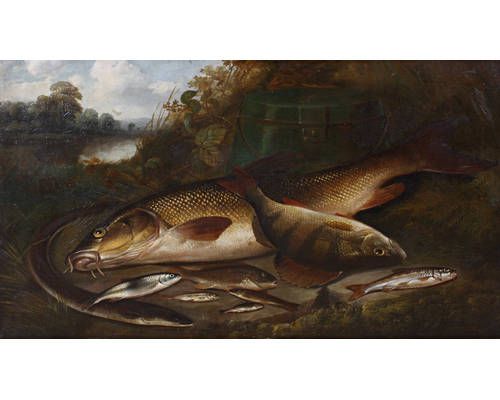 the-day-s-catch