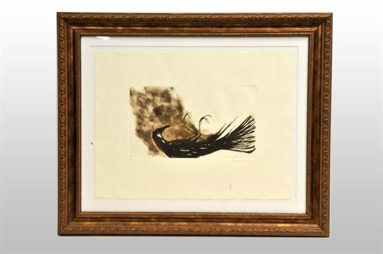 pajaro