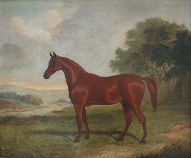 a-light-bay-horse-in-a-field