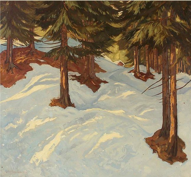 forest-scene-at-winter-time