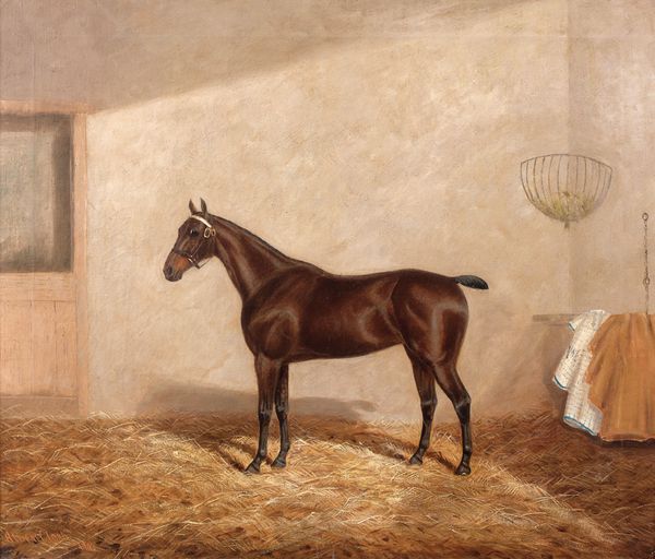 portrait-du-cheval-flash-light