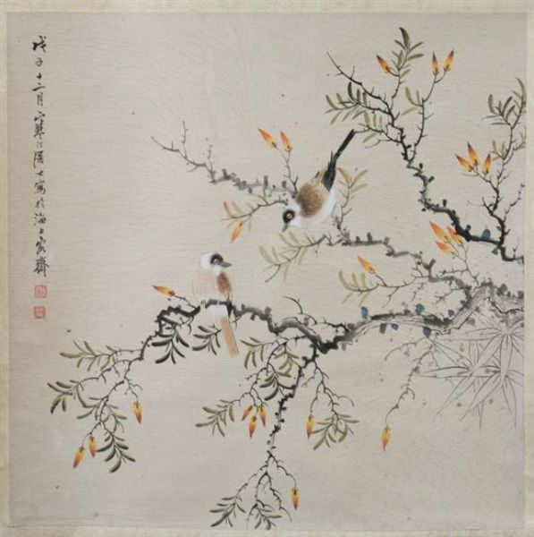 birds