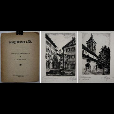 views-of-schaffhausen-switzerland