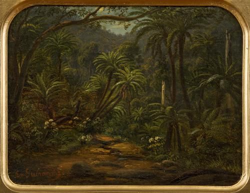 ferntree-gully-in-the-dandenong