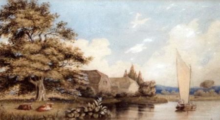 broads-view
