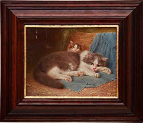 cozy-companions