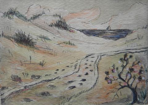 sand-dunes-near-provincetown-mass
