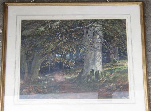depicting-pheasants-in-wooded-landscape