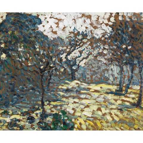 early-spring-in-a-garden