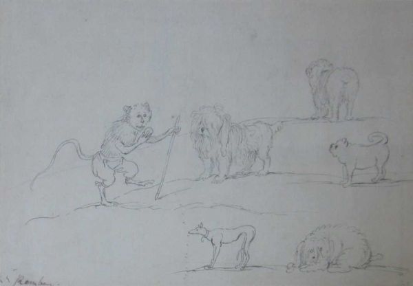 study-of-a-monkey-and-five-dogs