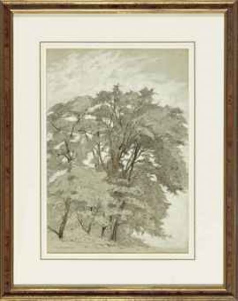 trees-in-a-forest