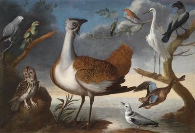 exotic-birds-two-parrots-ducks-an-owl-a-grey-heron-and-other-birds-in-a-wide-landscape
