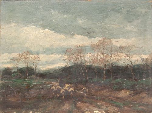 heidelandschaft-mit-schafen