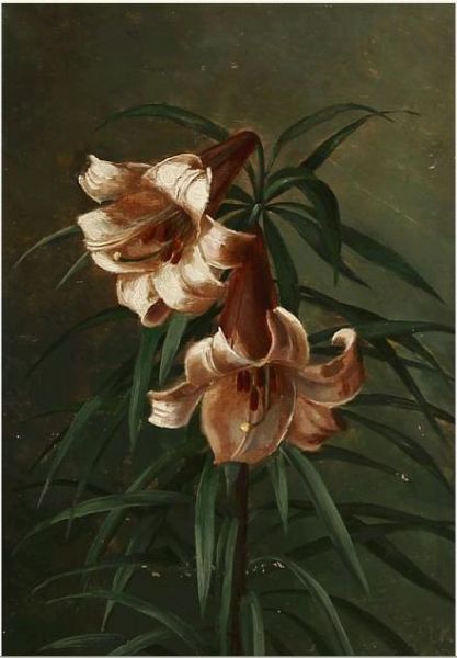 two-regal-lillies