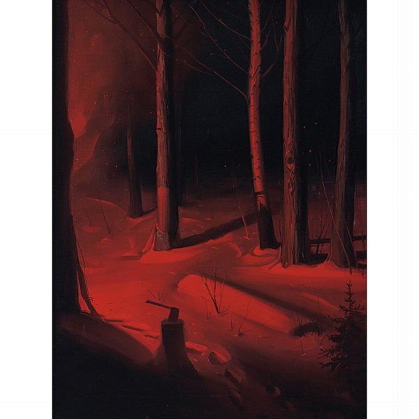 nocturnal-forest