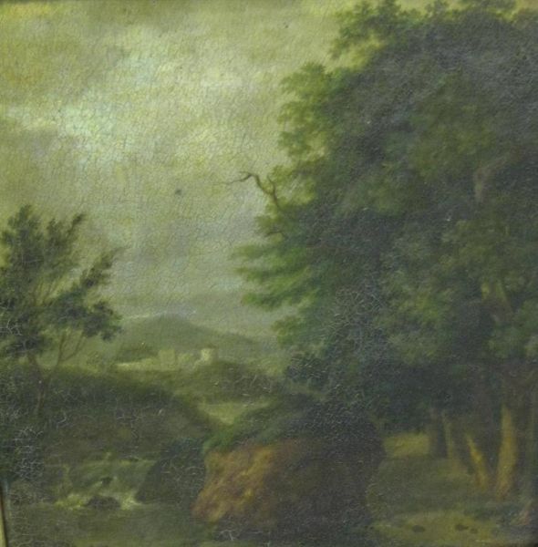 a-wooded-river-landscape