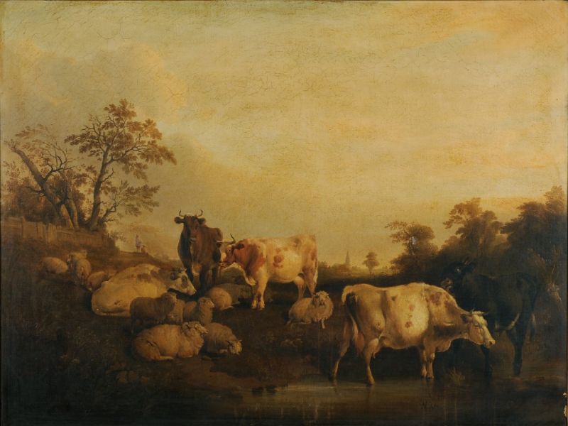 cattle-and-sheep-at-a-country-pool