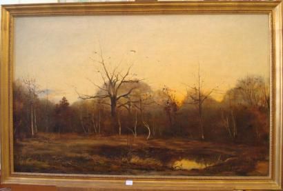paysage