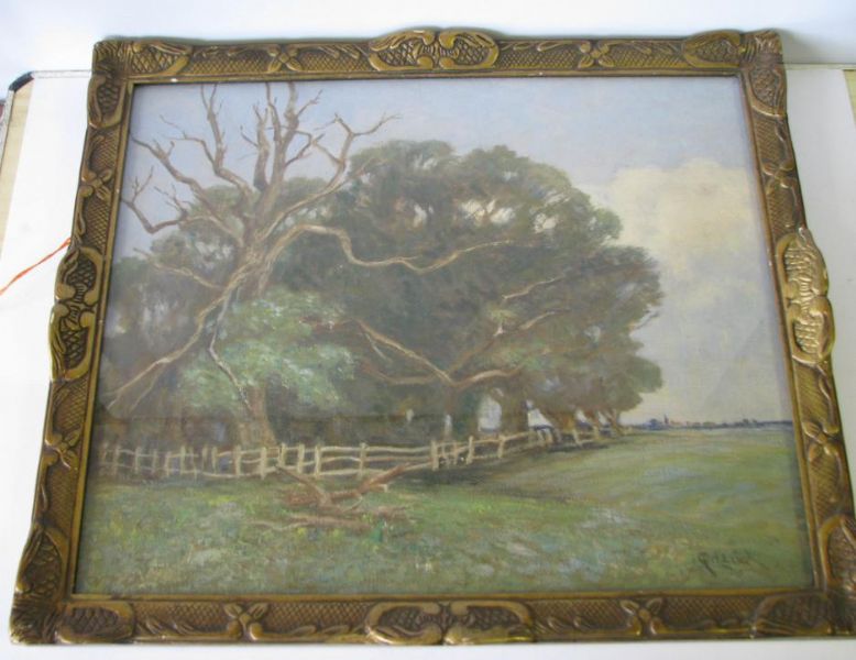 woodland-in-open-landscape