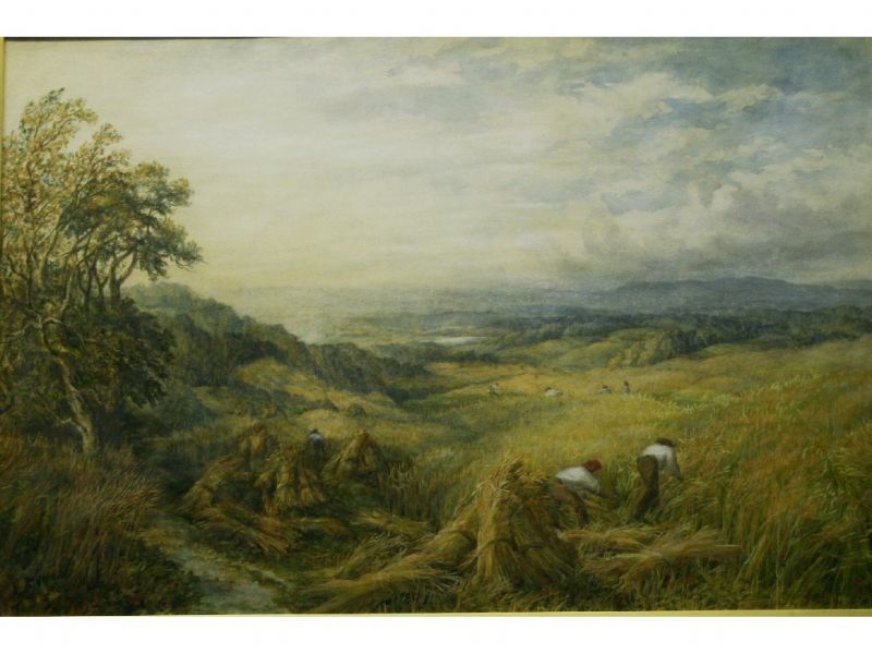 harvesting-near-box-hill-surrey