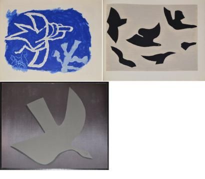 l-ordre-des-oiseaux