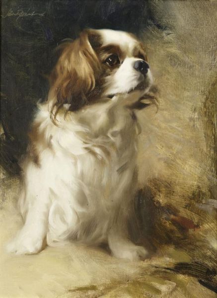 portrait-of-a-king-charles-spaniel