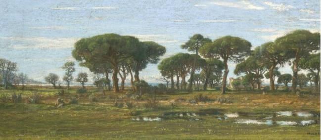 paysage-de-littoral-aux-grands-pins