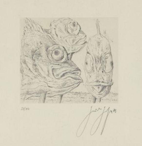 vor-dem-aquarium-fische-pilze