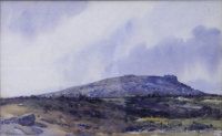 moorland