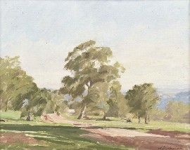 spring-creek-road