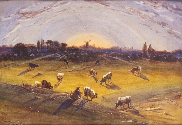 vaches-au-paturage-et-moulin-au-soleil-couchant