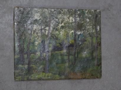 sous-bois