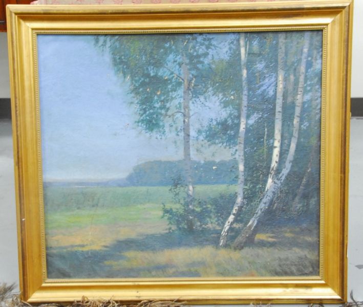 birch-trees-along-field-s-edge