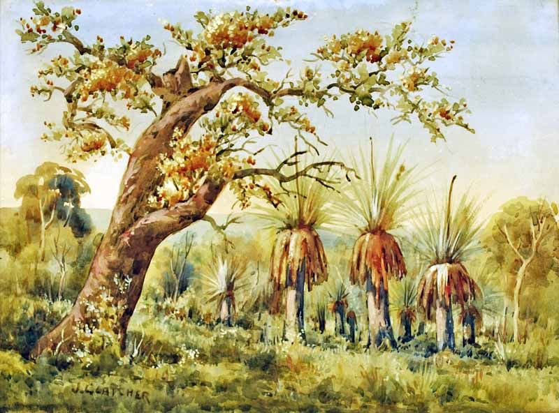 landscape-with-grass-trees