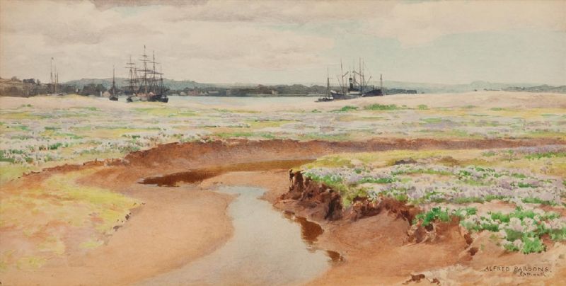 sea-lavender-exmouth